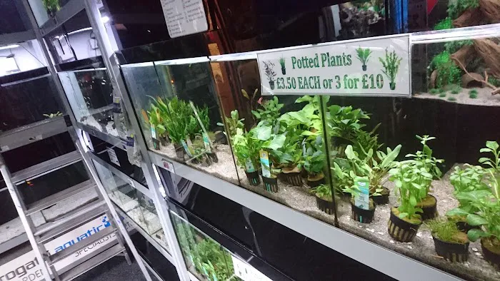 Harrogate Aquatic Picture 7