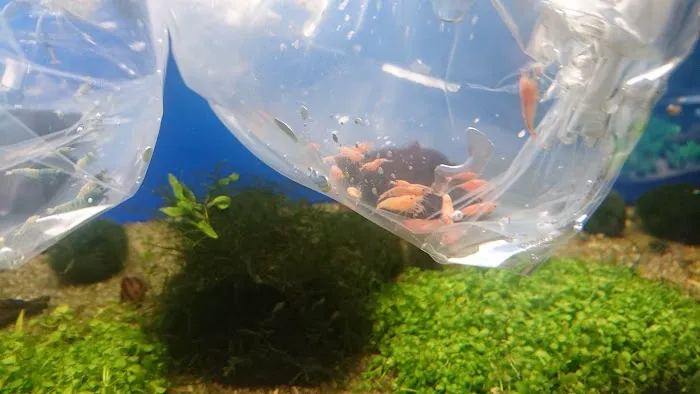 Harrogate Aquatic Picture 6