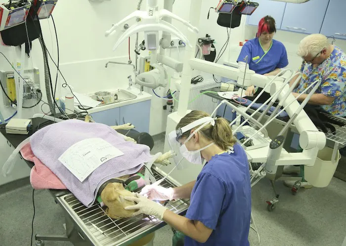 Medivet Harrogate Oak Beck Way Picture 4