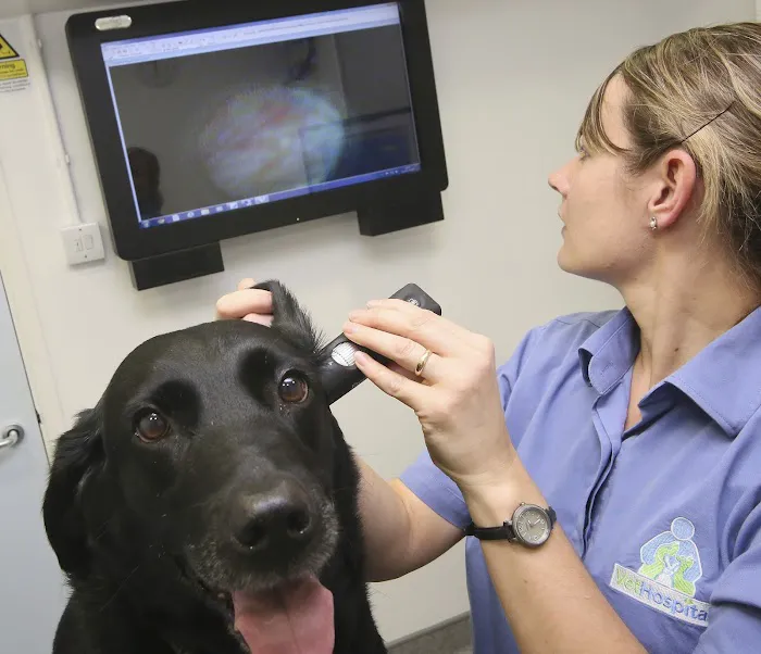 Medivet Harrogate Oak Beck Way Picture 1