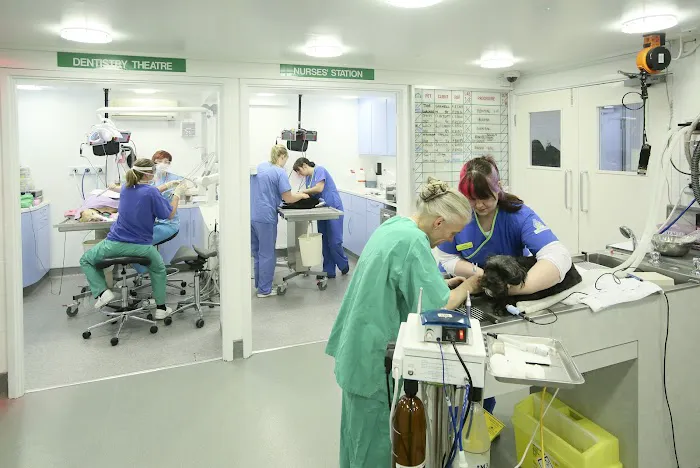 Medivet Harrogate Oak Beck Way Picture 6