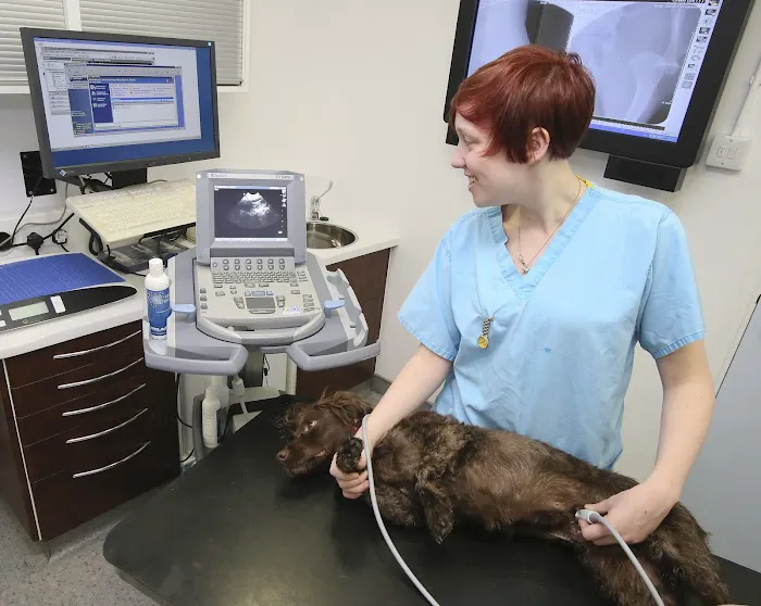 Medivet Harrogate Oak Beck Way Picture 5