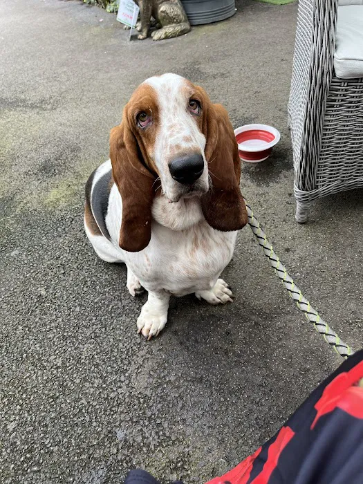 Medivet Harrogate Oak Beck Way Picture 10