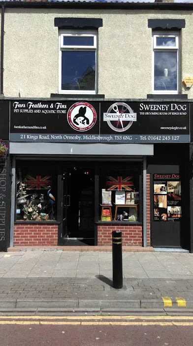 Sweeney Dog, Pet Store & Dog Grooming Picture 4