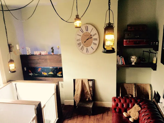 Sweeney Dog, Pet Store & Dog Grooming Picture 9