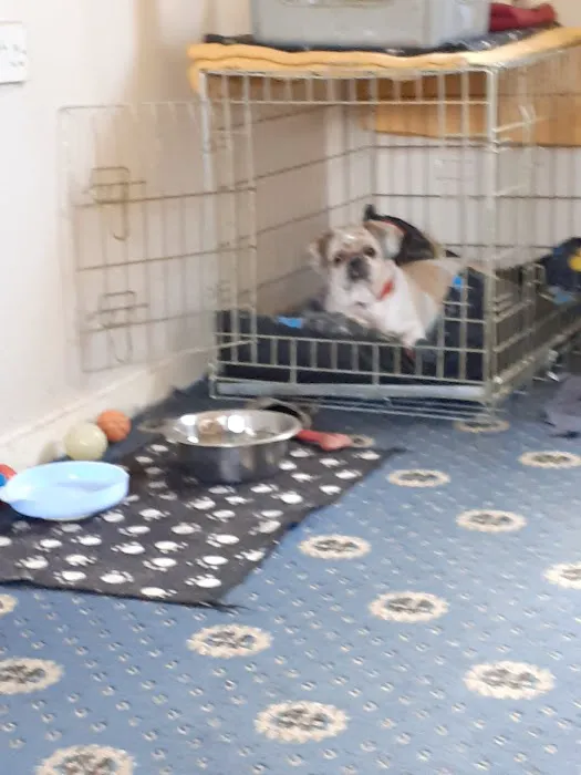 Sweeney Dog, Pet Store & Dog Grooming Picture 8