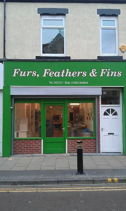 Sweeney Dog, Pet Store & Dog Grooming Picture 5