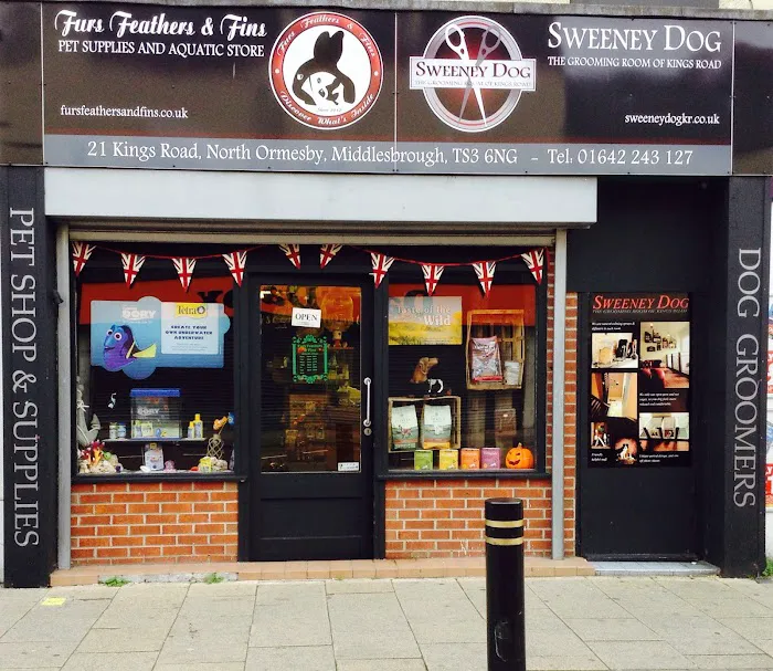 Sweeney Dog, Pet Store & Dog Grooming Picture 2