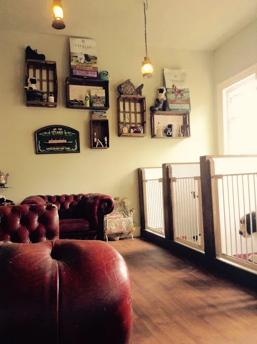 Sweeney Dog, Pet Store & Dog Grooming Picture 10