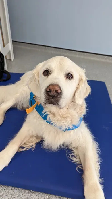The Harrogate Vet Physio Hydrotherapy Centre Picture 6