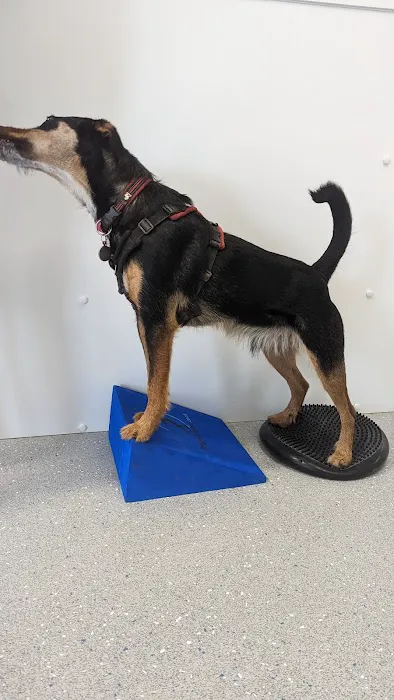 The Harrogate Vet Physio Hydrotherapy Centre Picture 2