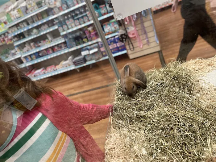 Pets at Home Middlesbrough Picture 3