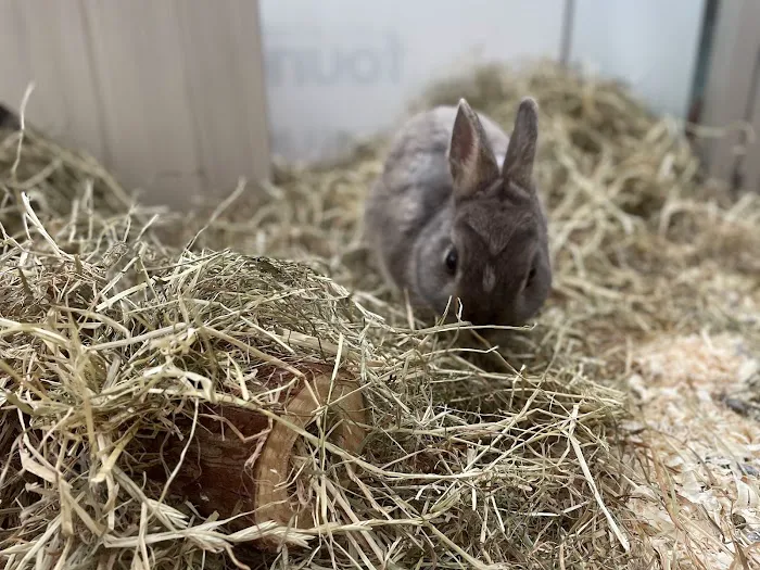 Pets at Home Middlesbrough Picture 1