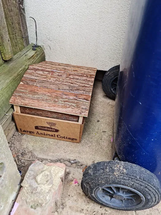 Pets at Home Middlesbrough Picture 7