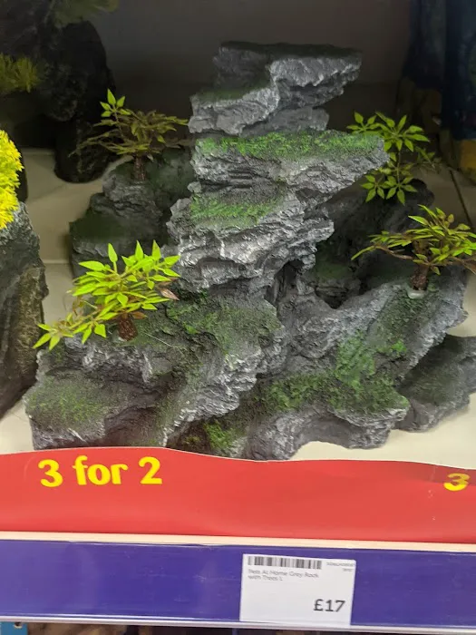 Pets at Home Coulby Newham Picture 3