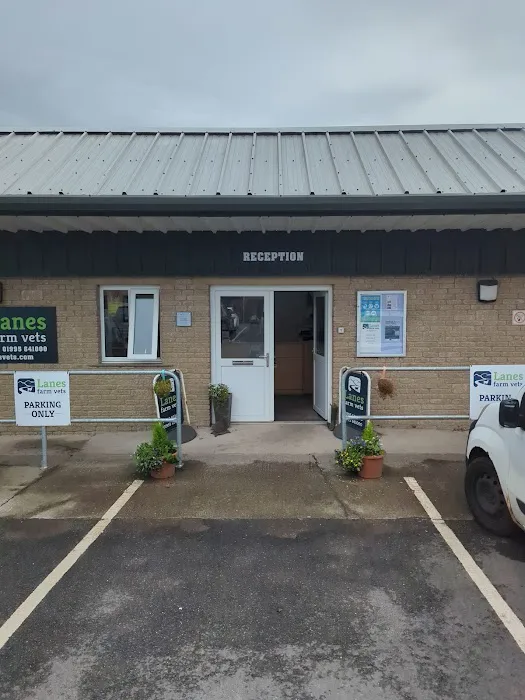 Lanes Farm Vets Picture 2