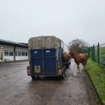 Oakhill Veterinary Centre