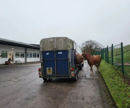 Oakhill Veterinary Centre