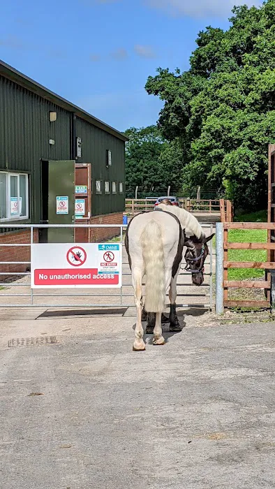 Oakhill Veterinary Centre Picture 7