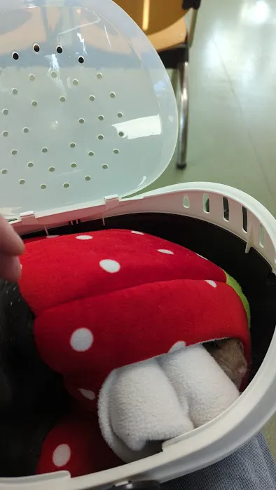 Oakhill Veterinary Centre Picture 10