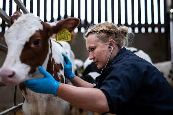 Oakhill Farm Vets Picture 5