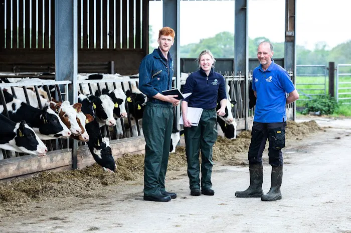 Oakhill Farm Vets Picture 3