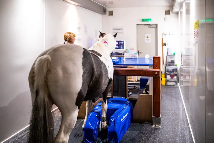 Oakhill Equine Vets Picture 1