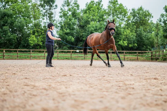 Oakhill Equine Vets Picture 2