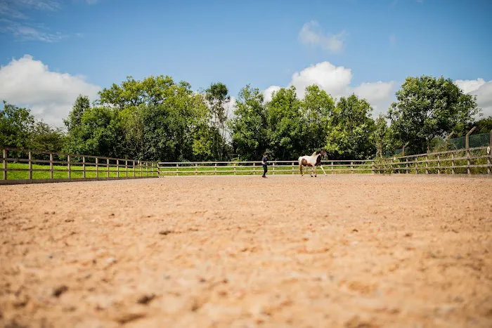 Oakhill Equine Vets Picture 8