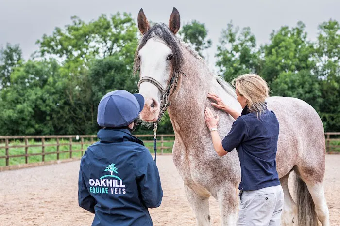 Oakhill Equine Vets Picture 6