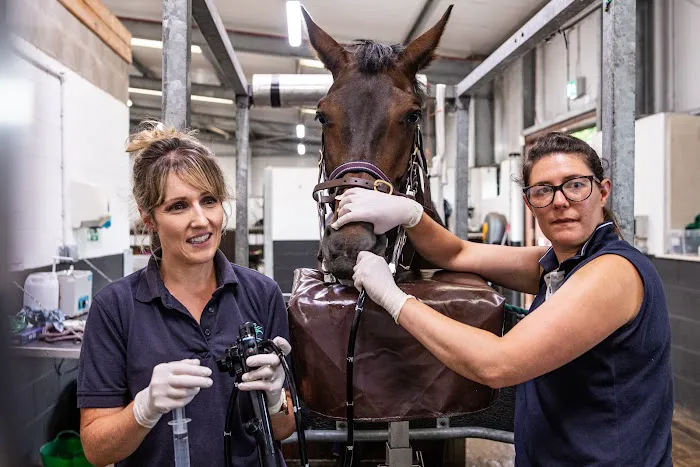 Oakhill Equine Vets Picture 4