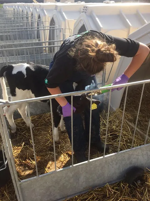 LLM Farm Vets, Preston Picture 3
