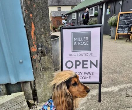 Miller & Rose Dog Boutique