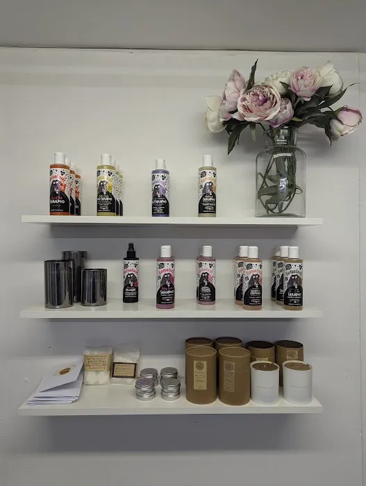 Miller & Rose Dog Boutique Picture 2