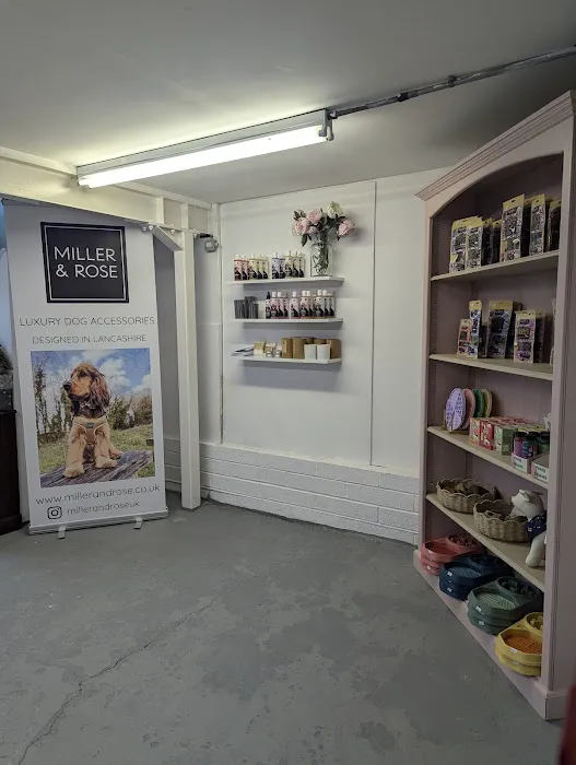 Miller & Rose Dog Boutique Picture 3