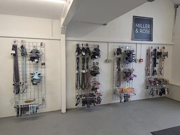 Miller & Rose Dog Boutique Picture 4