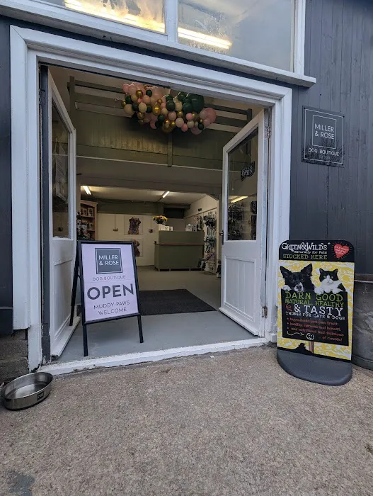 Miller & Rose Dog Boutique Picture 6