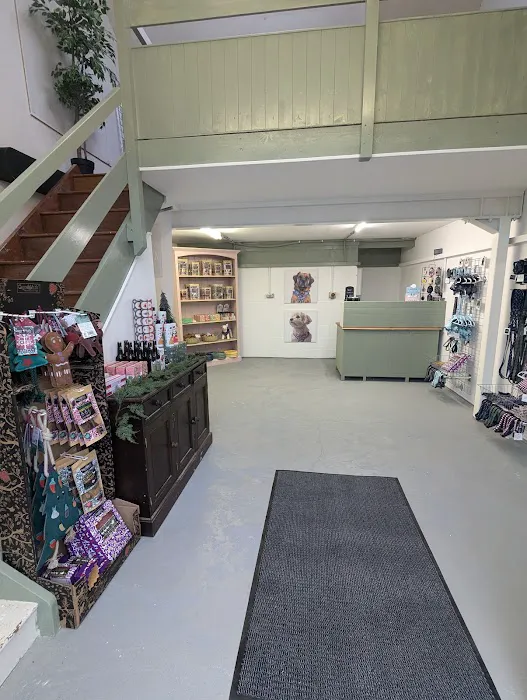 Miller & Rose Dog Boutique Picture 5