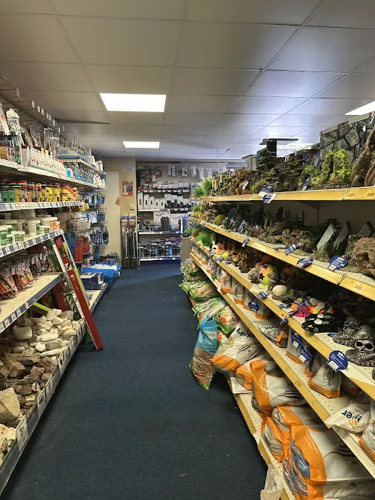 Maidenhead Aquatics Preston Picture 9