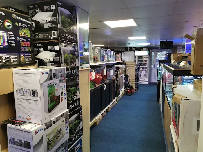 Maidenhead Aquatics Preston Picture 1