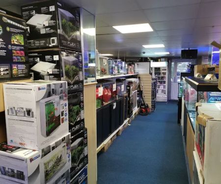 Maidenhead Aquatics Preston