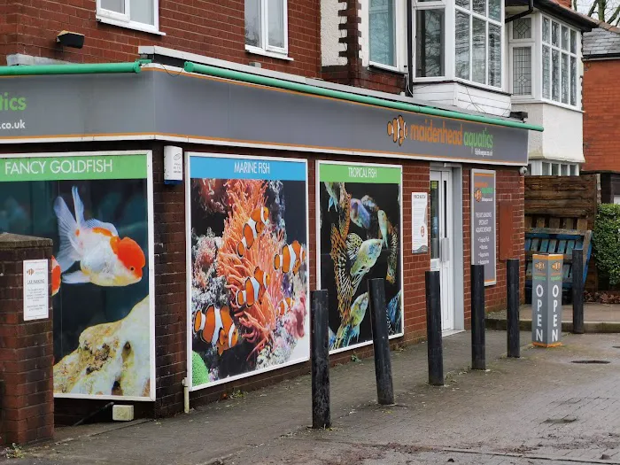 Maidenhead Aquatics Preston Picture 5