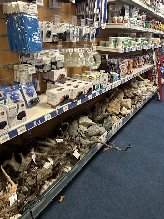 Maidenhead Aquatics Preston Picture 2