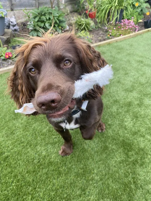 Kirkham Pet Centre Picture 3