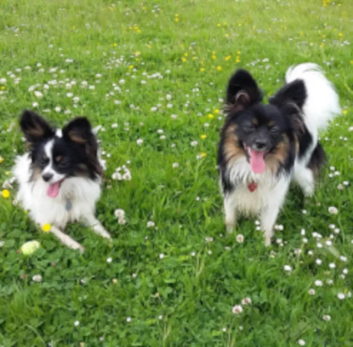 Kirkham Pet Centre Picture 7