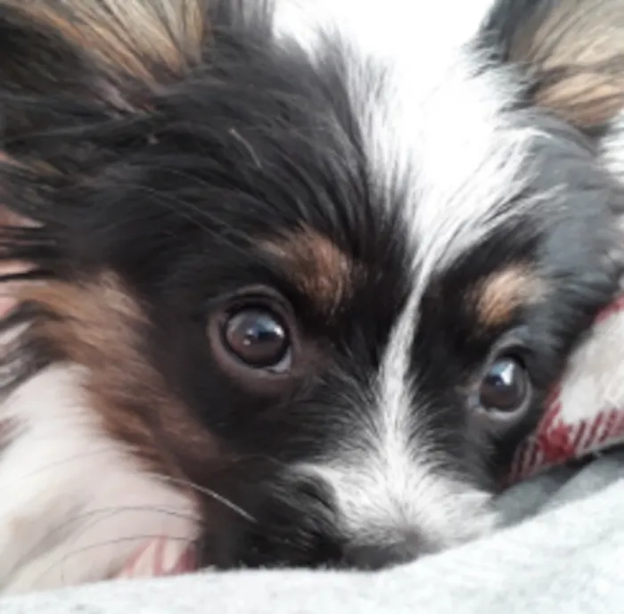 Kirkham Pet Centre Picture 8