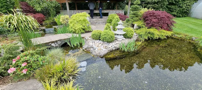 The Oaks Koi Farm Picture 1