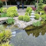 The Oaks Koi Farm