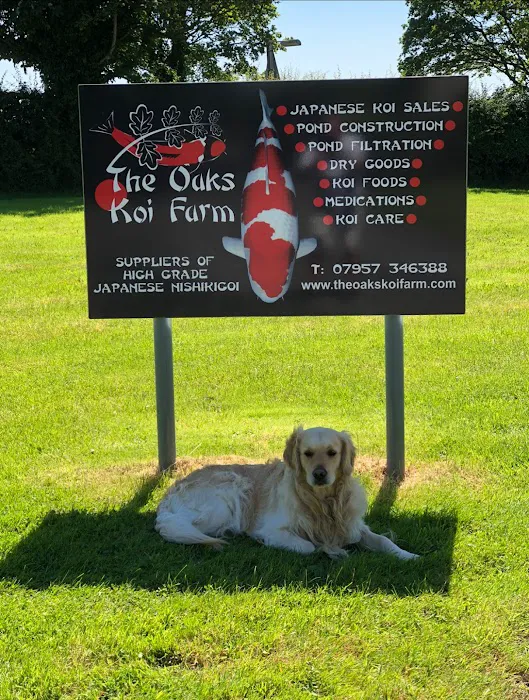 The Oaks Koi Farm Picture 10