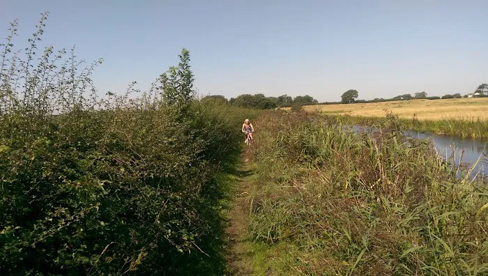 Helmes Pet Supplies Picture 2